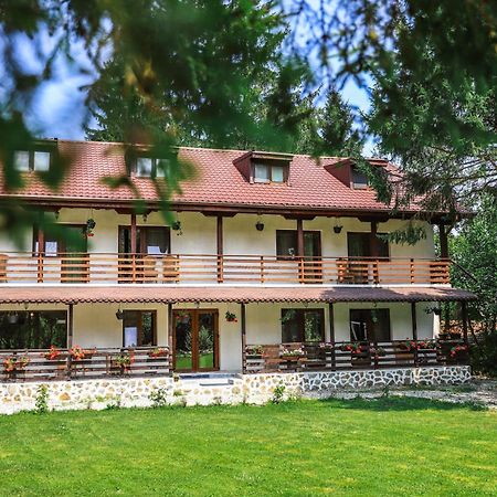 Pensiunea Vinatur Porumbacu de Sus Εξωτερικό φωτογραφία