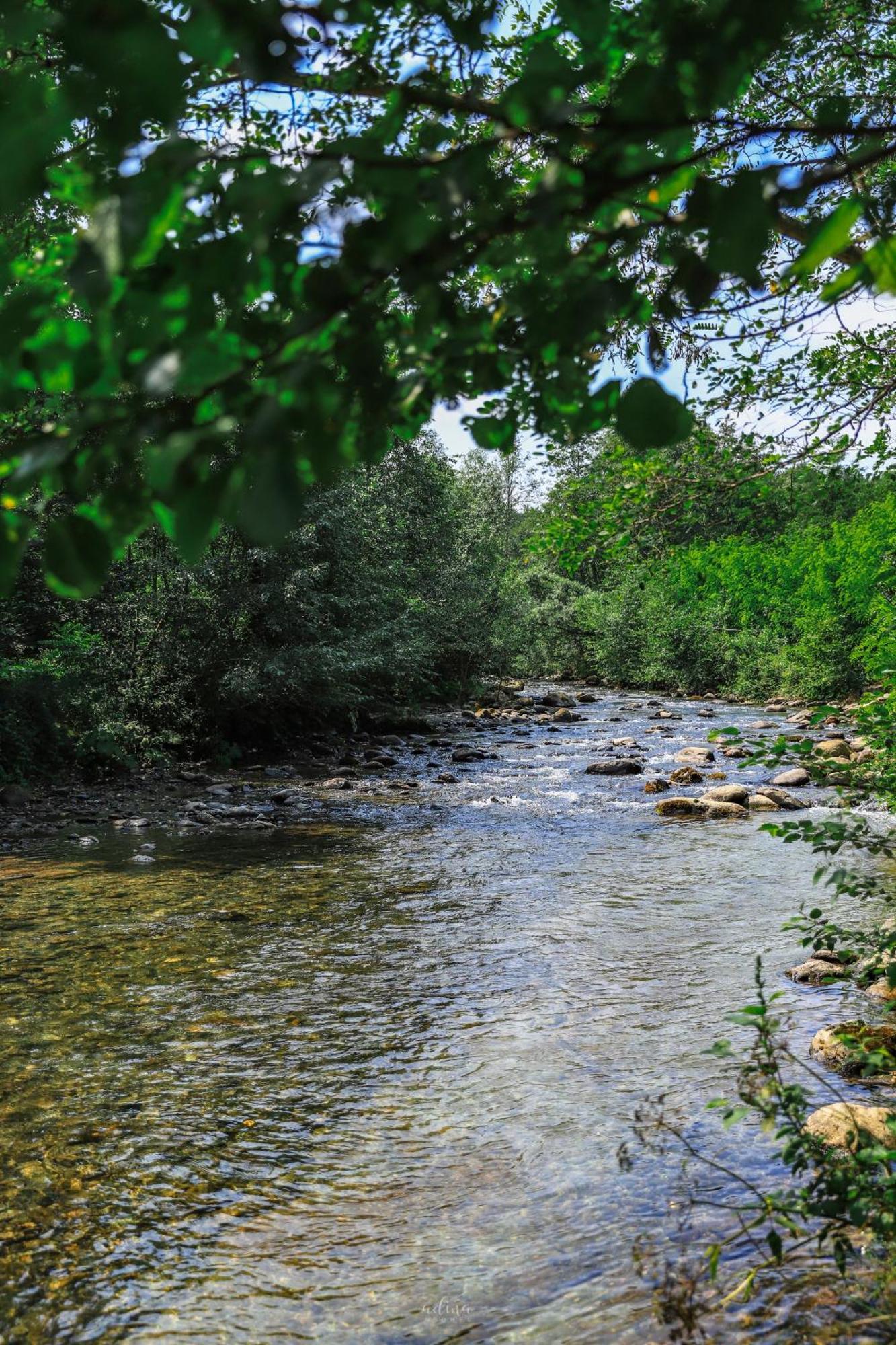 Pensiunea Vinatur Porumbacu de Sus Εξωτερικό φωτογραφία